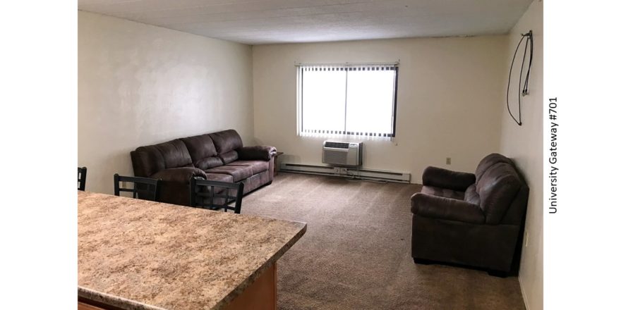 Carpeted living room with window, AC unit, loveseat, and sofa