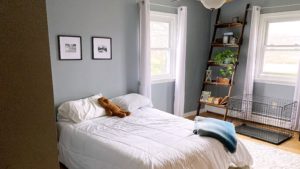 Bedroom with full bed, shelf with trinkets, and dog cage