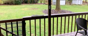Covered deck and backyard with large tree and storage shed