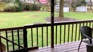 Covered deck and backyard with large tree and storage shed