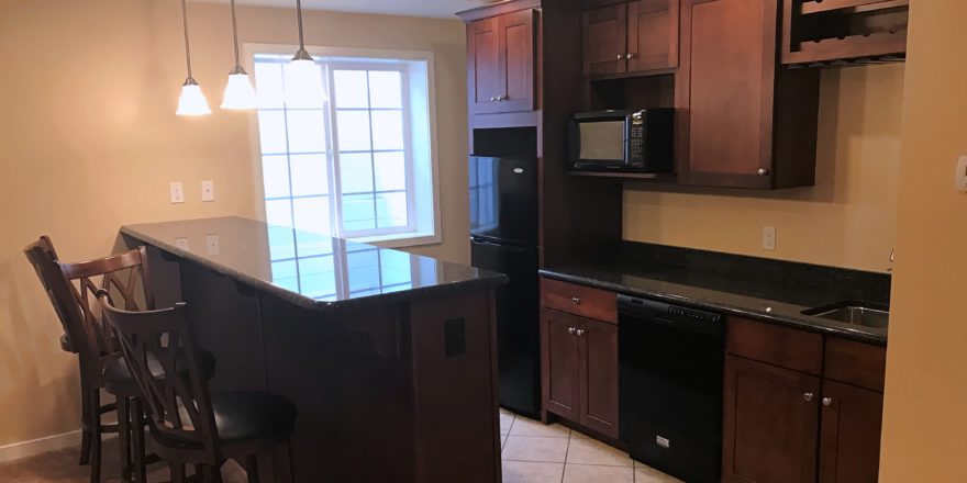 Basement bar area with bar stool seating, dishwasher, fridge, and microwave