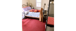 Bedroom with area rug and furniture