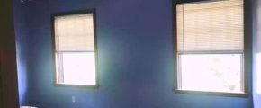 Bedroom with two windows, bed, and ceiling fan