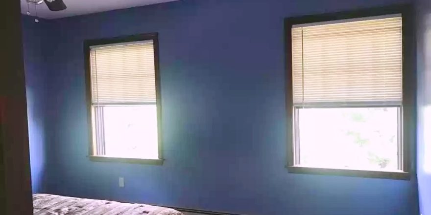 Bedroom with two windows, bed, and ceiling fan