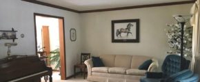 Furnished living room