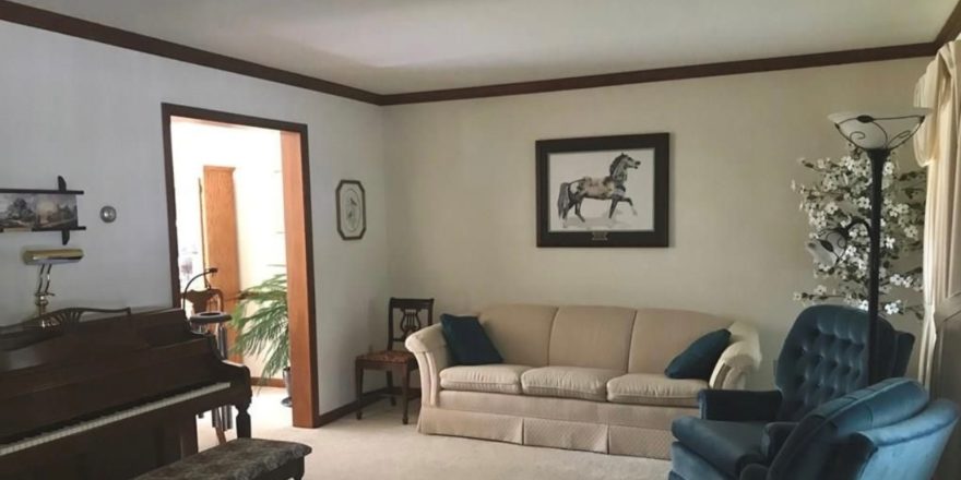 Furnished living room