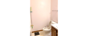 Bathroom with toilet and vanity
