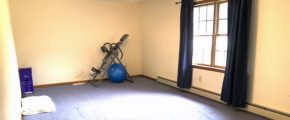 Living room with exercise equipment