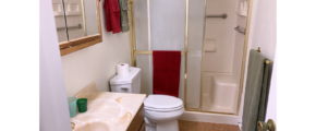 Bathroom with shower stall with glass door, vanity, medicine cabinet with mirror, and toilet