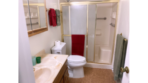 Bathroom with shower stall with glass door, vanity, medicine cabinet with mirror, and toilet