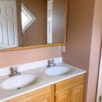 Bathroom with double vanity and large medicine cabinet