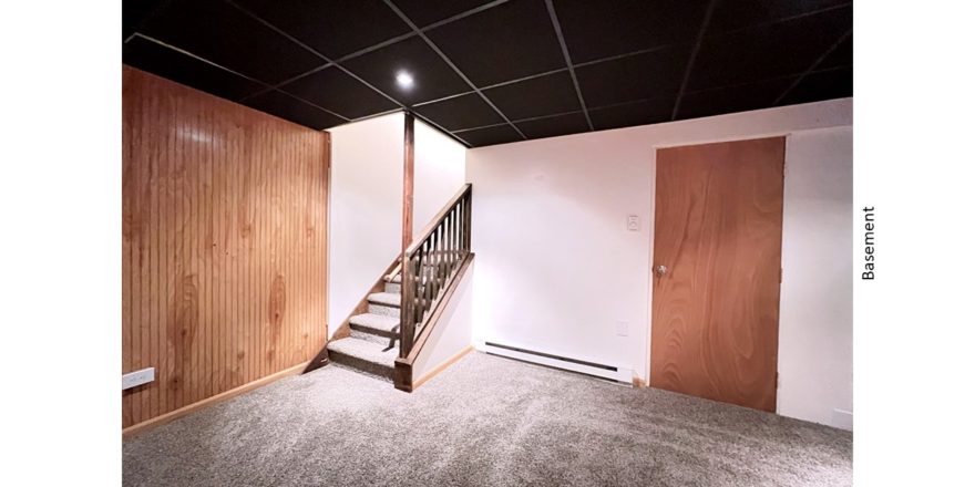 Basement area with carpet, bead board feature wall, and drop ceiling with recessed light