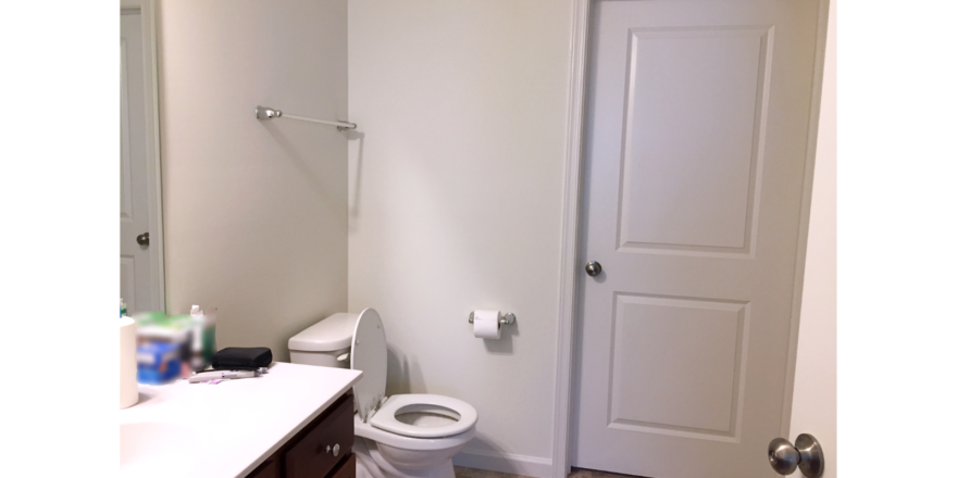 Bathroom with toilet and vanity and mirror