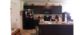 Kitchen with dark cabinets and black appliances