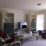 Living room with bookshelves, coffee table, seating, and TV
