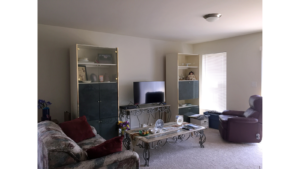 Living room with bookshelves, coffee table, seating, and TV