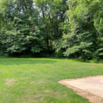 Backyard with concrete patio