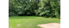 Backyard with concrete patio