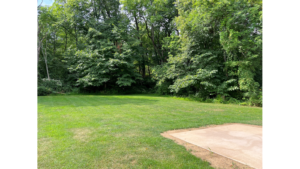 Backyard with concrete patio