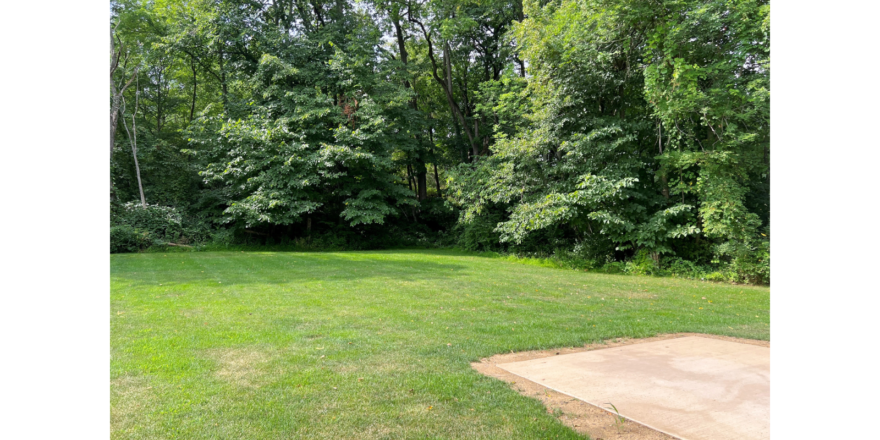 Backyard with concrete patio