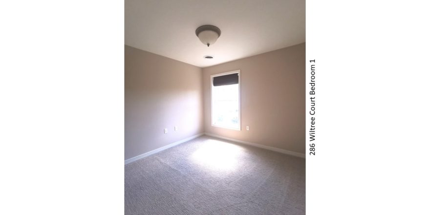 Carpeted bedroom with window and light fixture