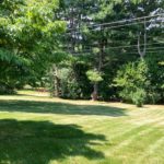 Large yard with trees