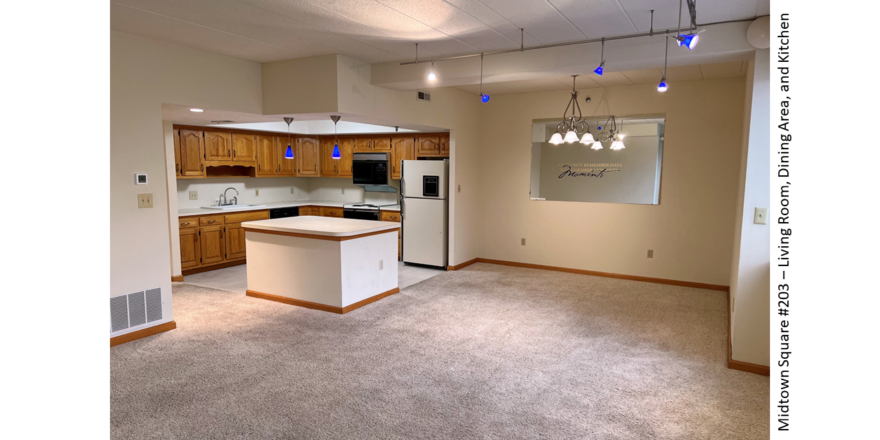 Kitchen with wood-tone cabinets, carpeted living and dining areas, and track lighting