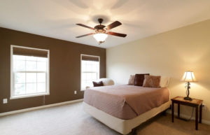 a bedroom with a ceiling fan and two windows