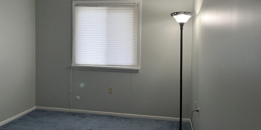 an empty room with light blue carpet, a lamp, and a window