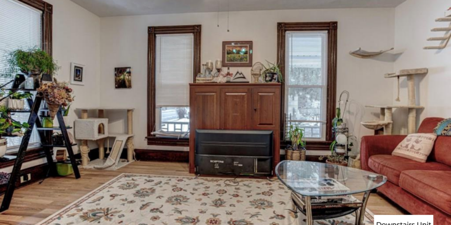 downstairs unit living room filled with 3 windows, white walls, and wooden flooring