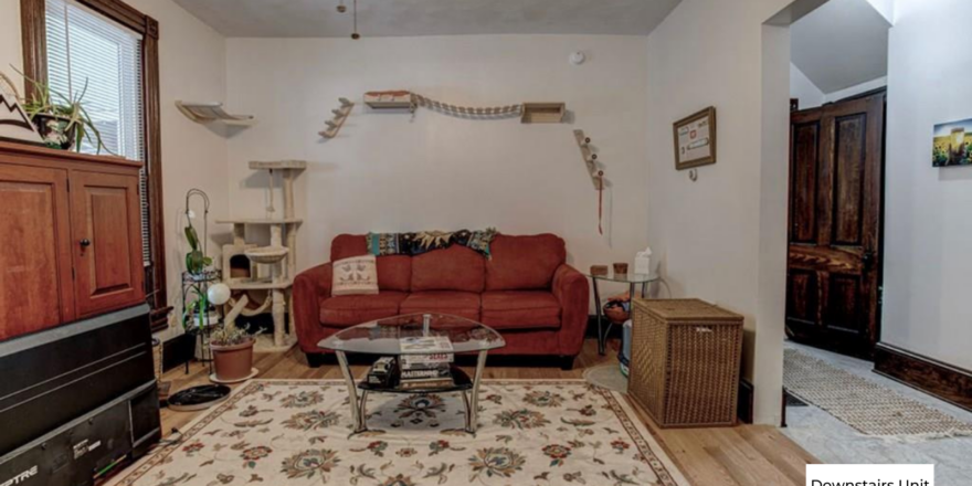 downstairs unit living room with white walls and wooden floors