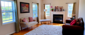 a living room filled with furniture and a decorative fire place