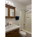 a bathroom with a sink, toilet and shower
