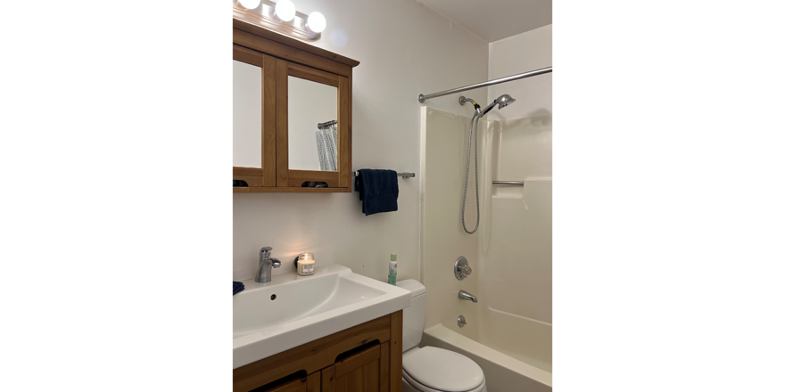 a bathroom with a sink, toilet and shower