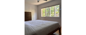 a bedroom with a bed, window, and ceiling fan