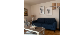 a living room with a blue couch and a coffee table