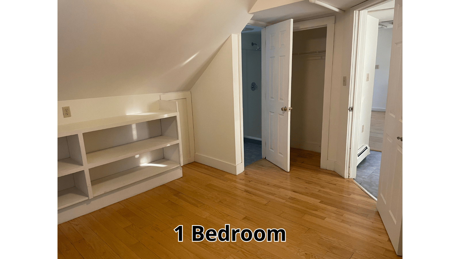Bedroom with built-in shelves and open closet