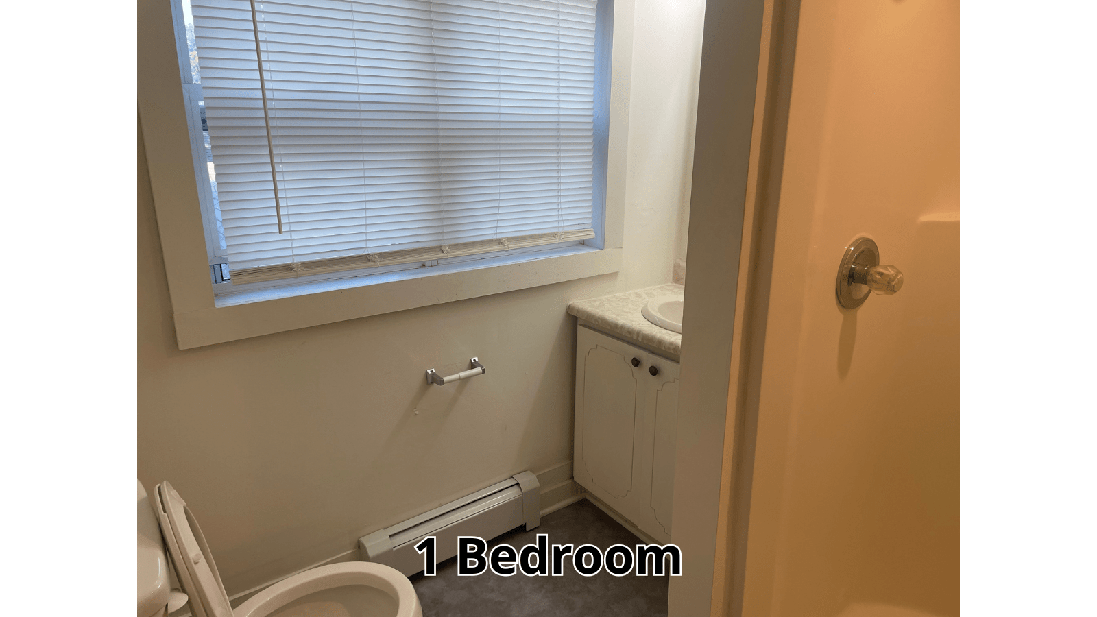 1 Bedroom bathroom with toilet and vanity
