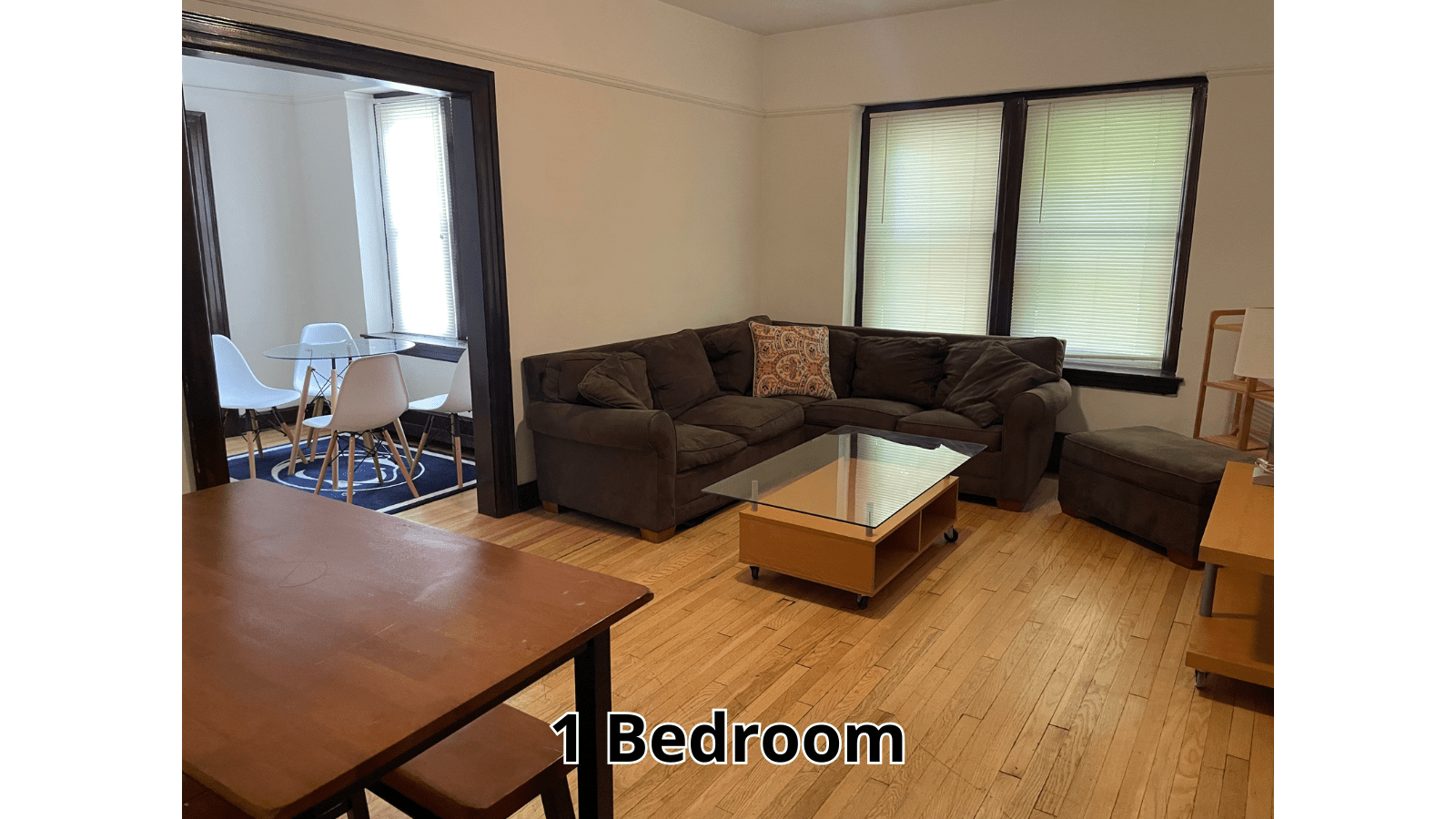 Cozy living room and dining area in 1 bedroom apartment