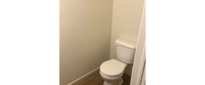 a white toilet sitting in a bathroom next to a wooden floor