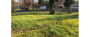 Spacious fenced grassy backyard space