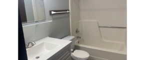 a bathroom with a white toilet sitting between a white bath tub and white sink with vanity