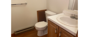 a white toilet sitting next to a bathroom sink