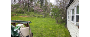 a backyard with grass and trees beyond it