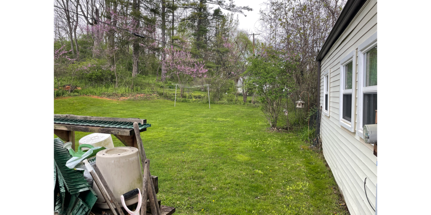 a backyard with grass and trees beyond it