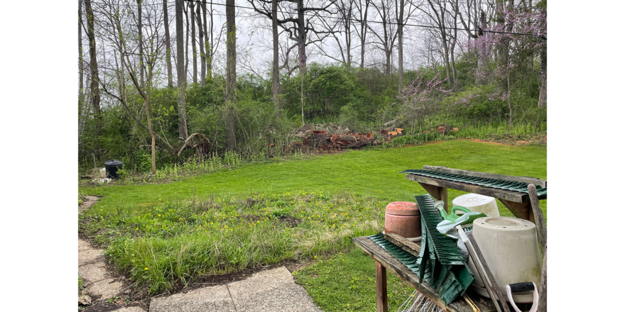 a yard with a lot of g0rass and trees beyond it