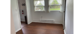 an empty room with white walls, two windows, and LVP brown wood floors