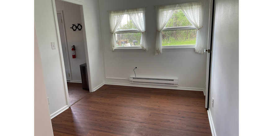 an empty room with white walls, two windows, and LVP brown wood floors
