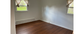 empty room with white walls, LVP brown wood floors, and two windows