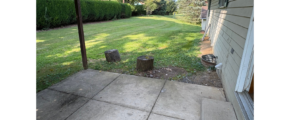a back yard with grass and trees in the background